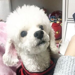 Meet your Posher, Eunjoo